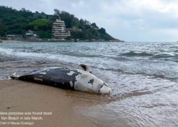 Ecological island: A logical waste solution?