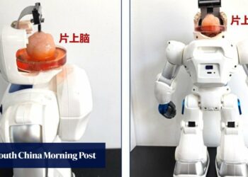 Chinese scientists create robot with brain made from human stem cells