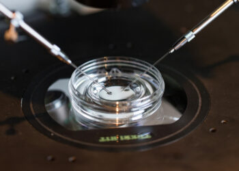 A Theology of Reproductive Technology