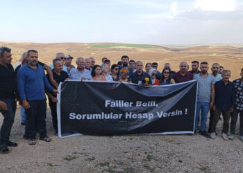 Ecologists in fire-devastated area: Those who destroy our nature must be held accountable