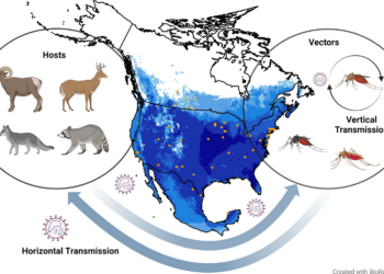 Ecology and geography of Cache Valley virus assessed using ecological niche modeling | Parasites & Vectors