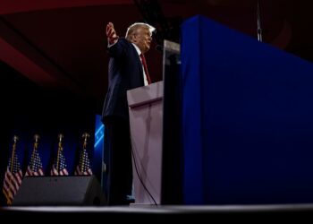 Trump suggests to UFC head that migrants should fight for sport