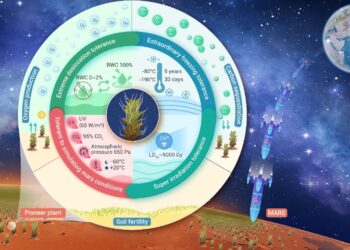 Photo: Courtesy of the Xinjiang Institute of Ecology and Geography of the Chinese Academy of Sciences