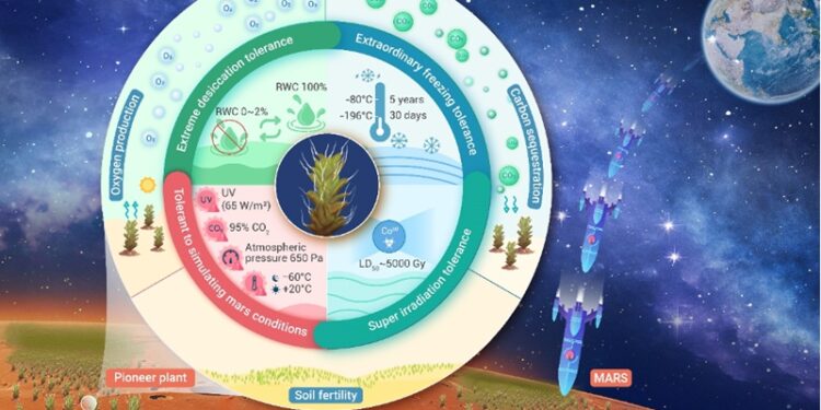 Photo: Courtesy of the Xinjiang Institute of Ecology and Geography of the Chinese Academy of Sciences
