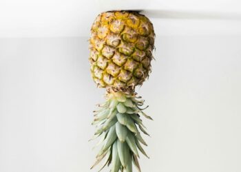 Two states bordering Indiana rank in Top 10 for swinger lifestyle