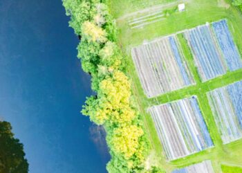 Ecology School receives USDA Urban Agriculture and Innovative Production grant