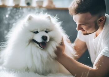 A Good Penny Stock to Buy According to the Media?