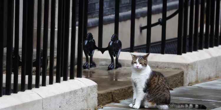 All change at Downing Street, except Larry the Cat | Lifestyle