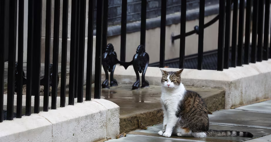 All change at Downing Street, except Larry the Cat | Lifestyle