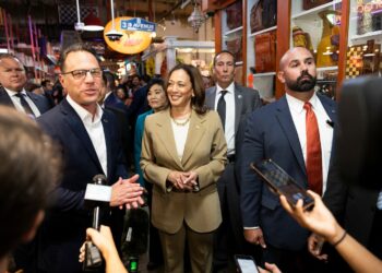 Democratic donors are funding an effort to vet potential VP candidates