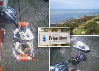 Dramatic video shows Coast Guard pluck five people, pet pup, from rocky South Carolina shoreline