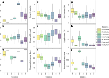 Ecological dynamics of moa extinctions reveal convergent refugia that today harbour flightless birds