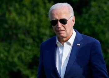 Election 2024 latest news: Biden speaks to NATO amid critical meetings in Congress