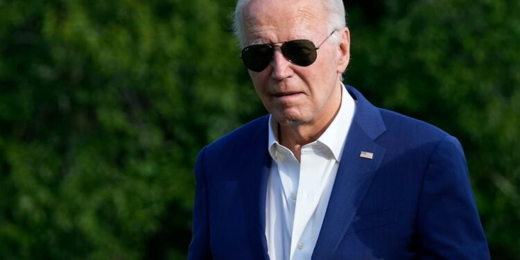 Election 2024 latest news: Biden speaks to NATO amid critical meetings in Congress