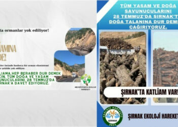 Environmental organizations to meet in Şirnak on 28 July