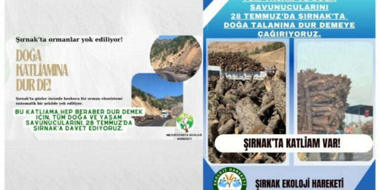 Environmental organizations to meet in Şirnak on 28 July