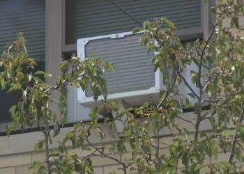 How extreme heat costs our economy – NBC Boston