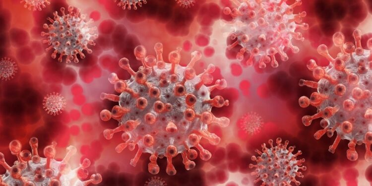 Latest lifestyle News, Live Updates Today July 18, 2024: Autoantibodies can be behind lifelong risk of viral infections: Study