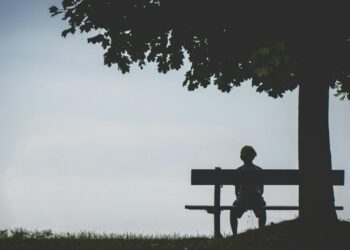 Latest lifestyle News, Live Updates Today July 24, 2024: Microsoft techie drives auto out of loneliness: A few effective ways to embrace the quiet, overcome loneliness