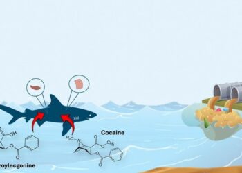 Recreational Narcotics Are Contaminating Ecosystems