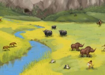 Study brings lifestyle of enigmatic extinct humans into focus