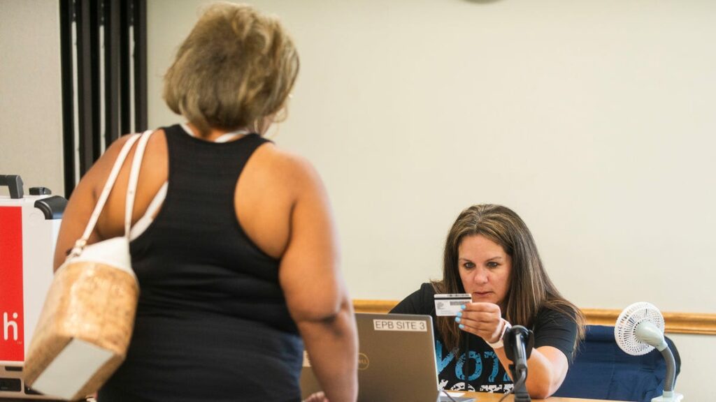 Technology issue disrupts first day of early voting in Michigan primary