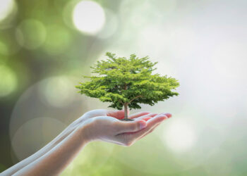 The main ecological family will be chosen in Russia - oreanda-news.com