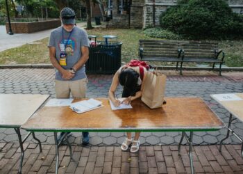 The ‘great replacement’ theory, now in legislation form