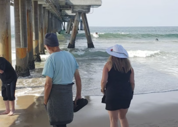 Venice Oceanarium Seeks Volunteers for Weekly Marine Science Pop-Up