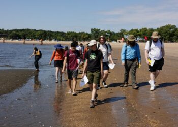 Aspiring earth science teachers get hands-on lesson at Orchard Beach – Bronx Times