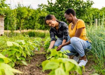 5 healthy lifestyle habits to adopt from our ancestors