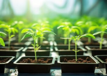 AgResearch eager to utilise new gene technology standards for new projects