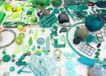 'Ecology is not punitive, but provides solutions for production without punishment'