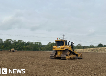 The area where the new cricket pitch will be