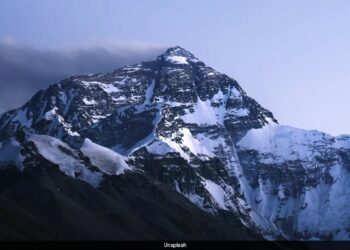 Nearly 1,700 Ancient Viruses Unknown To Science Found In Melting Himalayan Ice