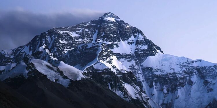 Nearly 1,700 Ancient Viruses Unknown To Science Found In Melting Himalayan Ice