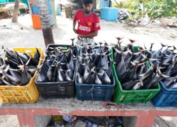 From land to sea, looming changes hurl Lakshadweep towards a great unknown | Latest News India