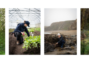 Meet the Irish growers and foragers merging artistry with ecology