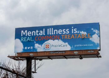 The Surprising Effects of Pursuing a PhD on Mental Health