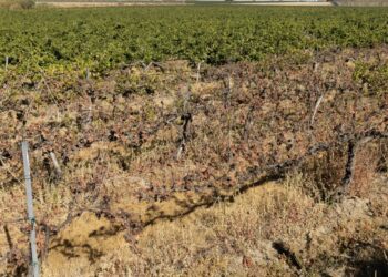 Hope on the Horizon: Relief from the Two-Year Drought in the Yakima Basin” | Business