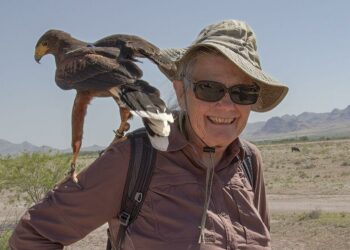 Air Force’s Controversial Plan Puts Cave Creek Canyon at Risk