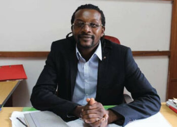 Calling on Zimbabwe to Take Action in Agro-Ecology Initiatives