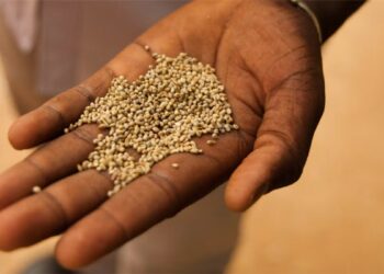 Semicon 2.0 scheme to cover large design firms too, raise subsidy