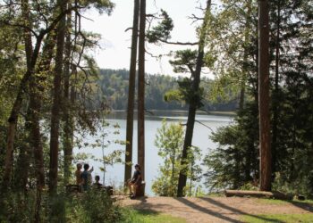 Shaping Minnesota: Climate change's impact on Itasca State Park and the state's future - InForum