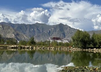 Study shows ecology in Xizang has remained stable over past 2 decades