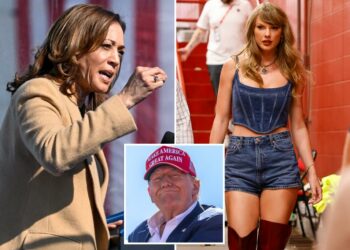 Taylor Swift is 'cynical' about politics, Variety columnist claims