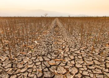 Uncovering the Role of Evolution in Ecosystem Collapse: How it Can Delay the Inevitable Disaster