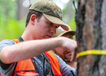 Forestry students measure a tree
