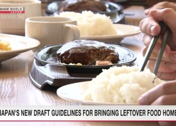 Japan’s Health Ministry Unveils Groundbreaking Guidelines to Encourage Taking Home Leftovers and Tackle Food Waste!