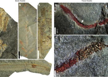 Debunking the Myths: Why the Cabrières Biota Shouldn’t be Classified as a Konservat-Lagerstätte